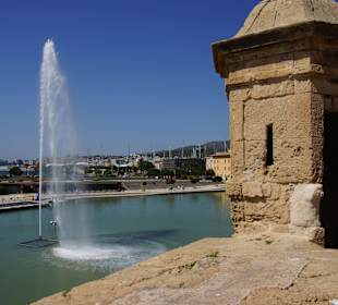 Kathedrale der Heiligen Maria 'La Seu' 