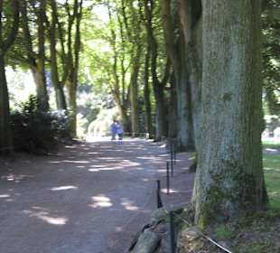 Nochmal Waldweg
