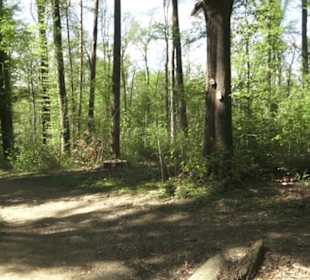 Wanderweg Hochgehwachsen