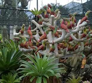 Park Nong Nooch Village and Tropical Garden