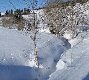 Dorf Herrenschwand, hat nur das Restaurant Waldfrieden