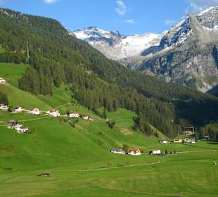 Bergbauernhöfe in Rein