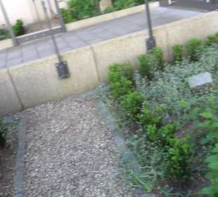 Medizinalgarten Nördlingen