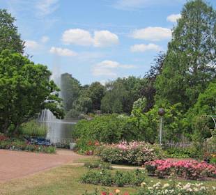 Rosengarten Zweibrücken