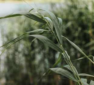 Wandern St. Veit im Pongau