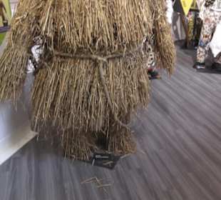 Fastnachtsmuseum Narrenschopf