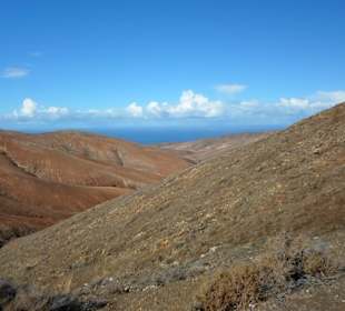 Nicht so viel Vegetation