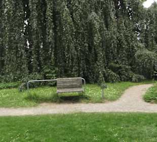 Alter botanischer Garten