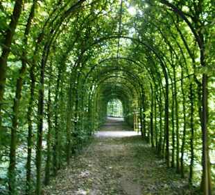 Park Schloss Moyland