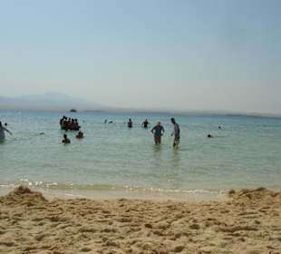 Badevergnügen 