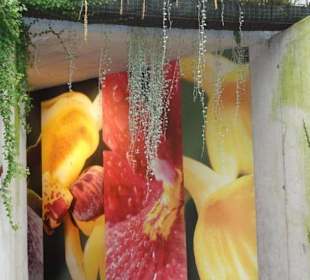 Raffeiner Orchideenwelt