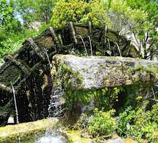 Am Wasser der Sorgue