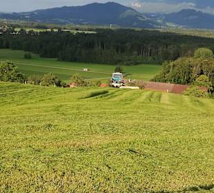 Wandern Bad Feilnbach