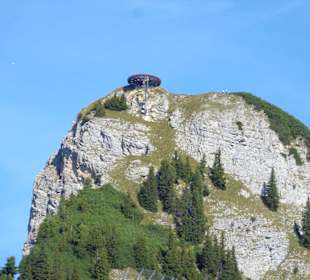 Adlerhorst Gschöllkopf