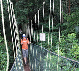 Baumkronenpfad Canopy Way