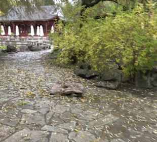 Chinesischer Garten
