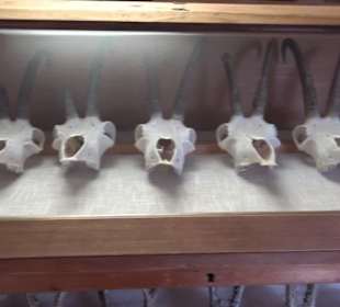 Heimatmuseum Oberstdorf