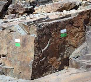 Die Markierung des Wanderweges