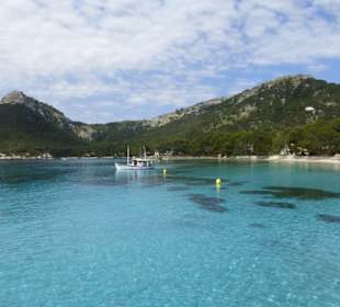 Mit Delfin Negro in der Playa de Formentor