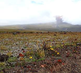 Cotopaxi Nationalpark