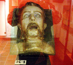Ausstellungsstück