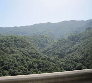 Wandern Los Cancajos