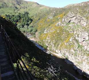 Mitder Taileri Railway durch die Natur Neuseelands