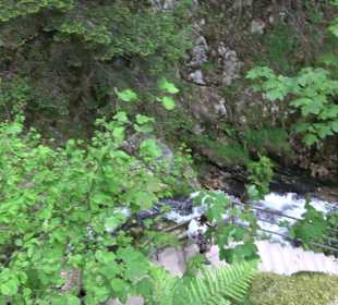Wasserfälle Allerheiligen