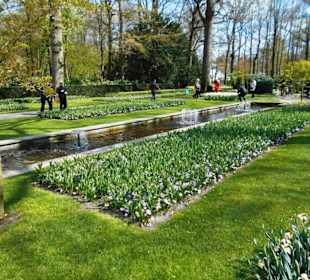 Blumenpracht im Keukenhof