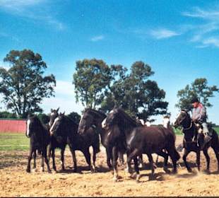 Estancia Santa Suzana