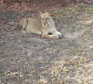 Selous Nationalpark