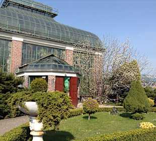 Palmiarnia Wałbrzych