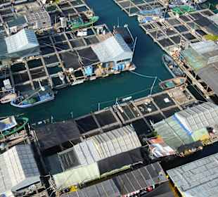 Рыбацкая деревня