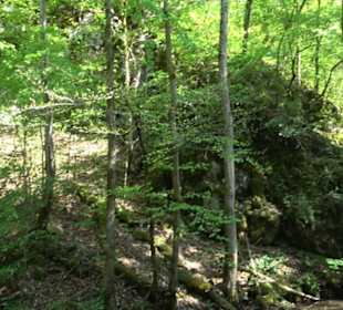 Premiumwanderweg Hochgehschätzt