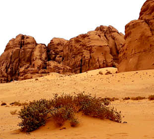 Wüstenlandschaft Wadi Rum