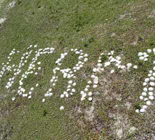 Insel Herm