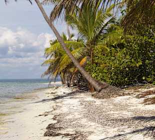 Bezludna plaża na wyspie Saona