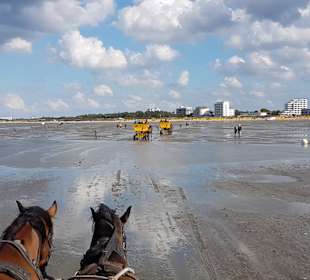 Wattenmeer 