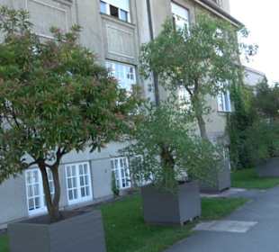 Botanischer Garten München