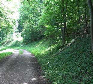 Premiumwanderweg "hochgelegen"