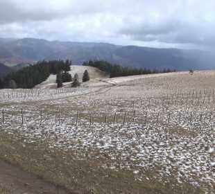 Naturschutzgebiet Belchen