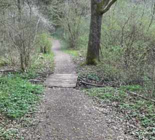 Vitus Mayer Waldlehrpfad