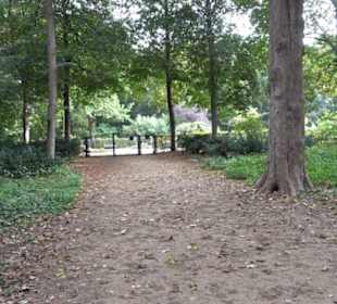Rosengarten im Tiergarten