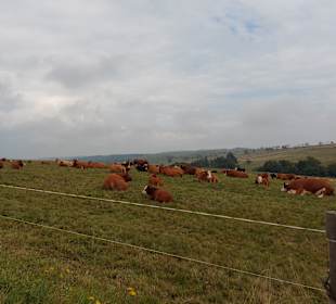 Stadtrundfahrt Teplice / Teplitz