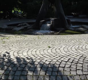 Stadtgarten Heidelberg