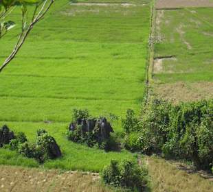 Reisfelder sind von der Plattform zu sehen