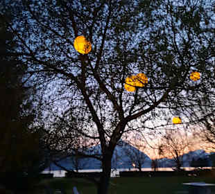 Thuner See 