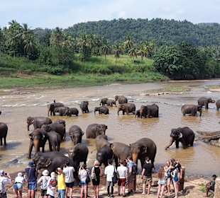 Rohan Shops & Tours im Club Hotel Dolphin