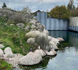 Wildlands Zoo in Emmen 