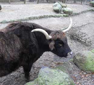 Tierpark 